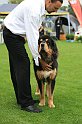 IMG_2354
