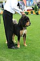 IMG_2357
