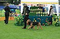 IMG_2362