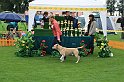IMG_2363