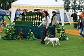 IMG_2367