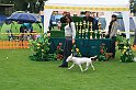 IMG_2368