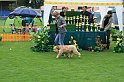 IMG_2369