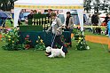 IMG_2374