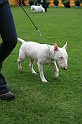 IMG_2379