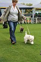 IMG_2384
