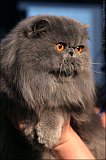 IMG_0131