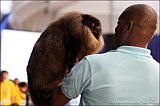 IMG_0133