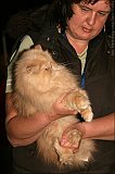 IMG_0156