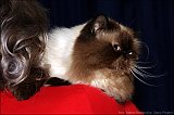 IMG_0159