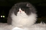 IMG_0162