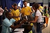 IMG_0190