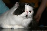 IMG_0205