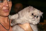 IMG_0209