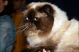 IMG_0213