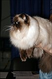 IMG_0215