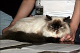 IMG_0227