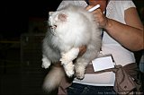 IMG_0228