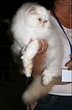 IMG_0229