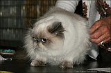 IMG_0234