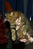 IMG_0247