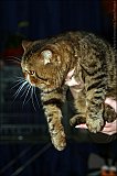 IMG_0251
