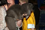 IMG_0254