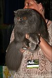 IMG_0256