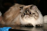 IMG_0262