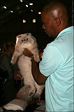 IMG_0265