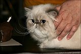 IMG_0267