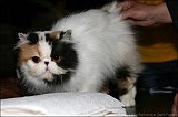 IMG_0269