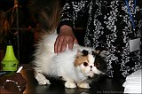 IMG_0270