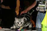 IMG_0273