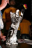 IMG_0279