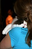 IMG_0284