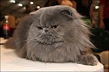 IMG_0287