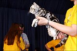 IMG_0292