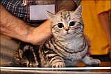 IMG_0294