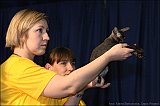 IMG_0305