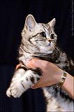 IMG_0307