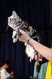 IMG_0314