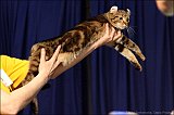 IMG_0319