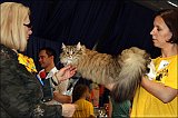 IMG_0324