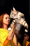 IMG_0329