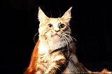 IMG_0330
