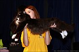 IMG_0345