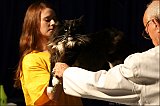 IMG_0348