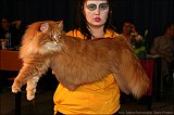 IMG_0365