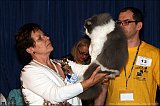 IMG_0378